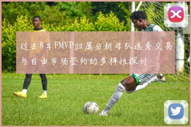 过去8年FMVP归属分析母队选秀交易与自由市场签约的多样性探讨