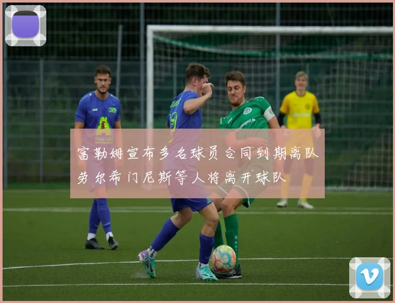 富勒姆宣布多名球员合同到期离队劳尔希门尼斯等人将离开球队